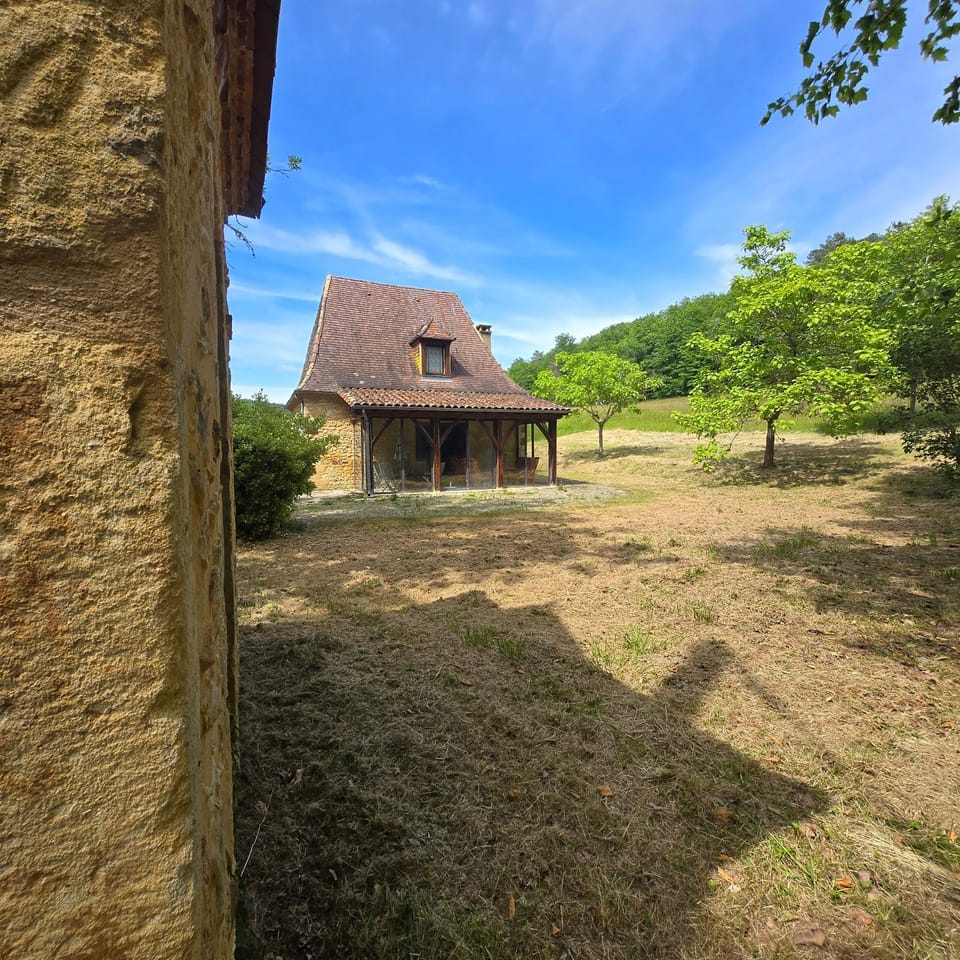 Spring, Natural landscape, Garden, Garden view