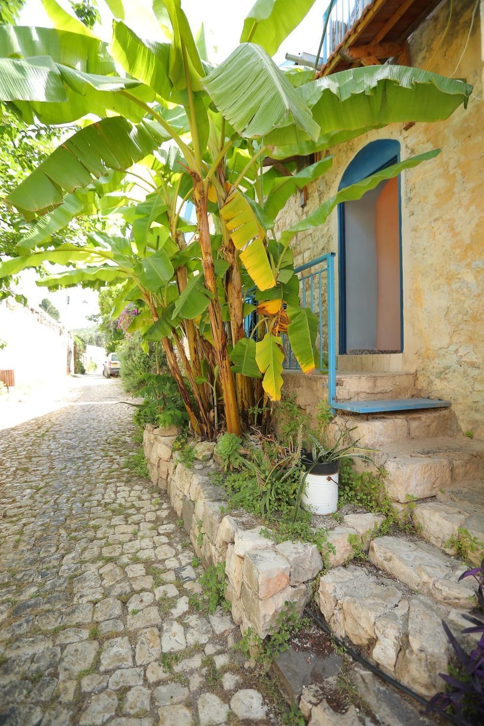 Property building, Garden