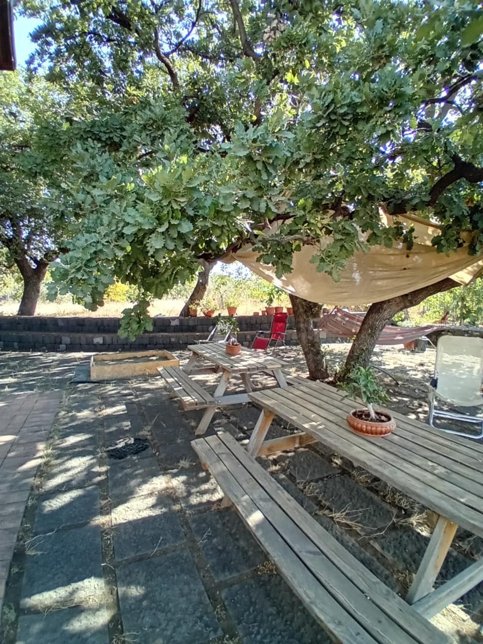 Day, Garden, Garden view