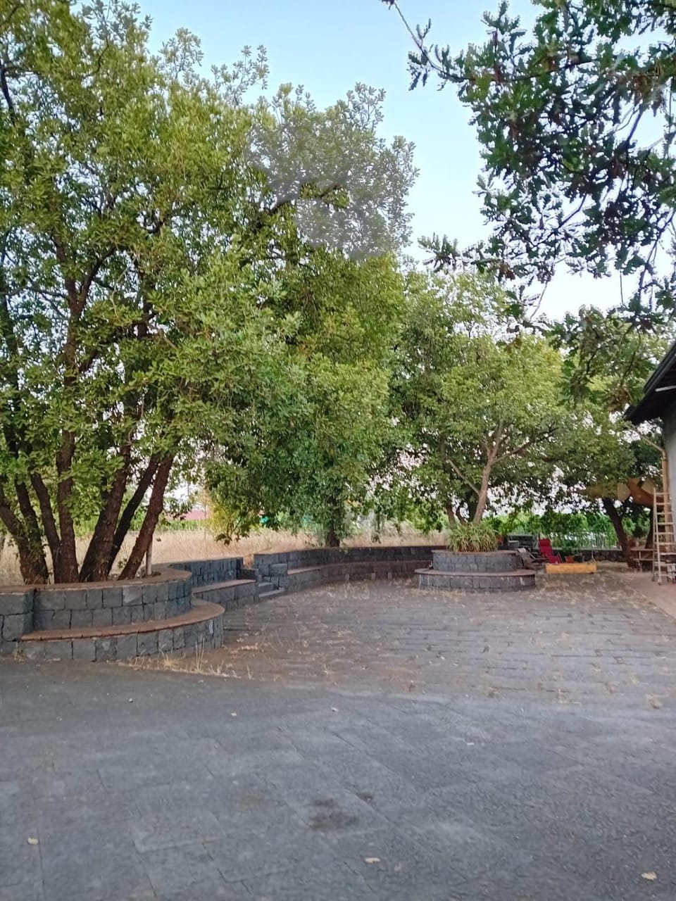 Garden, Garden view, Parking