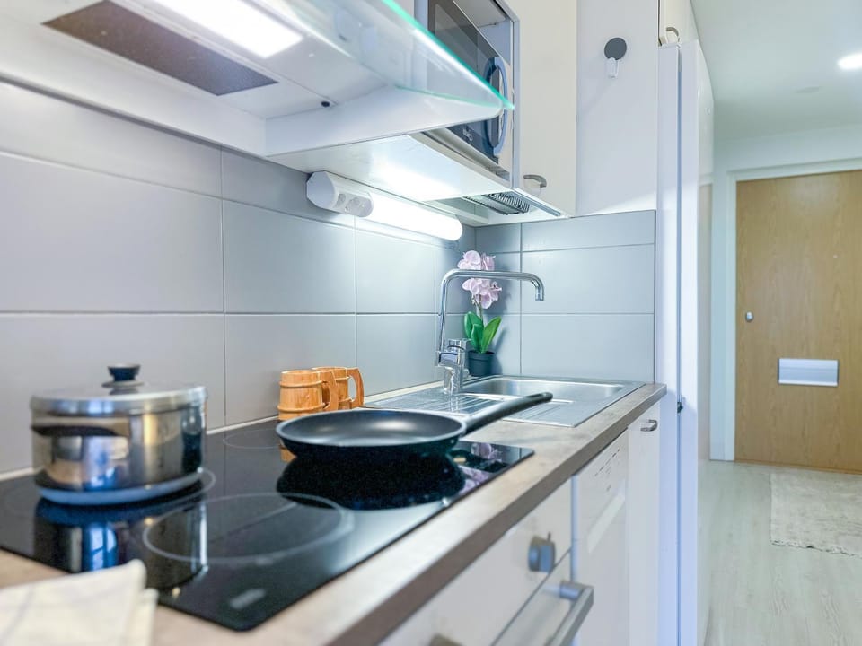 dishwasher, microwave, oven, stove, stove, kitchen