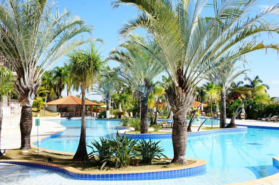 Spring, Day, Natural landscape, Garden, Garden view, Pool view, Swimming pool, sunbed