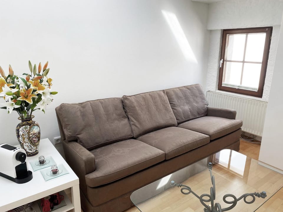 Salzburg-Altstadt-Apartement Apartment in Salzburg