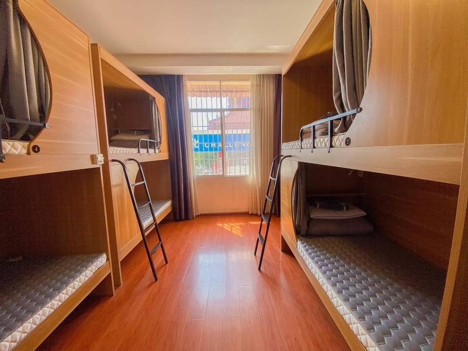 Bed, Photo of the whole room, Bedroom, bunk bed