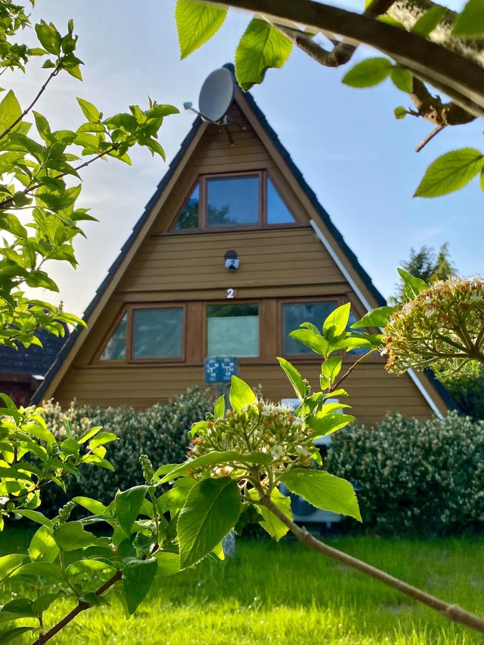 Property building, Garden view