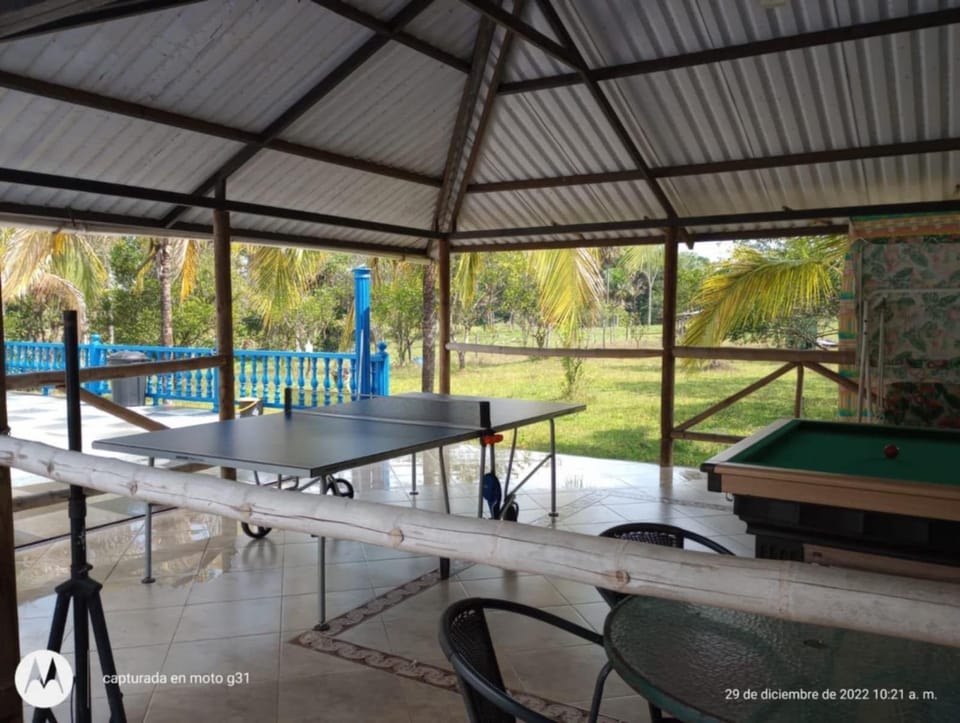 Table tennis