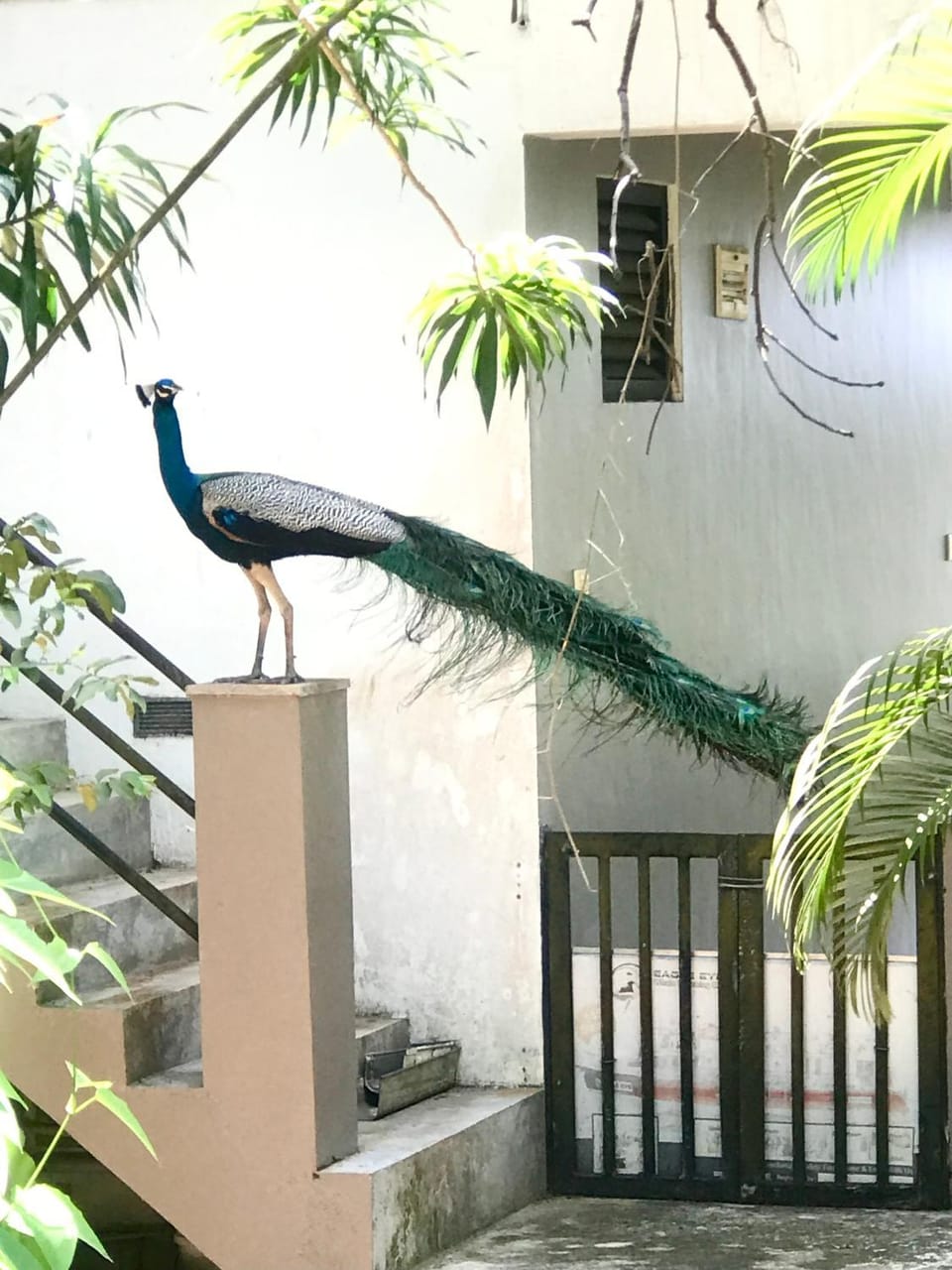 Friends place Apartment in Southern Province