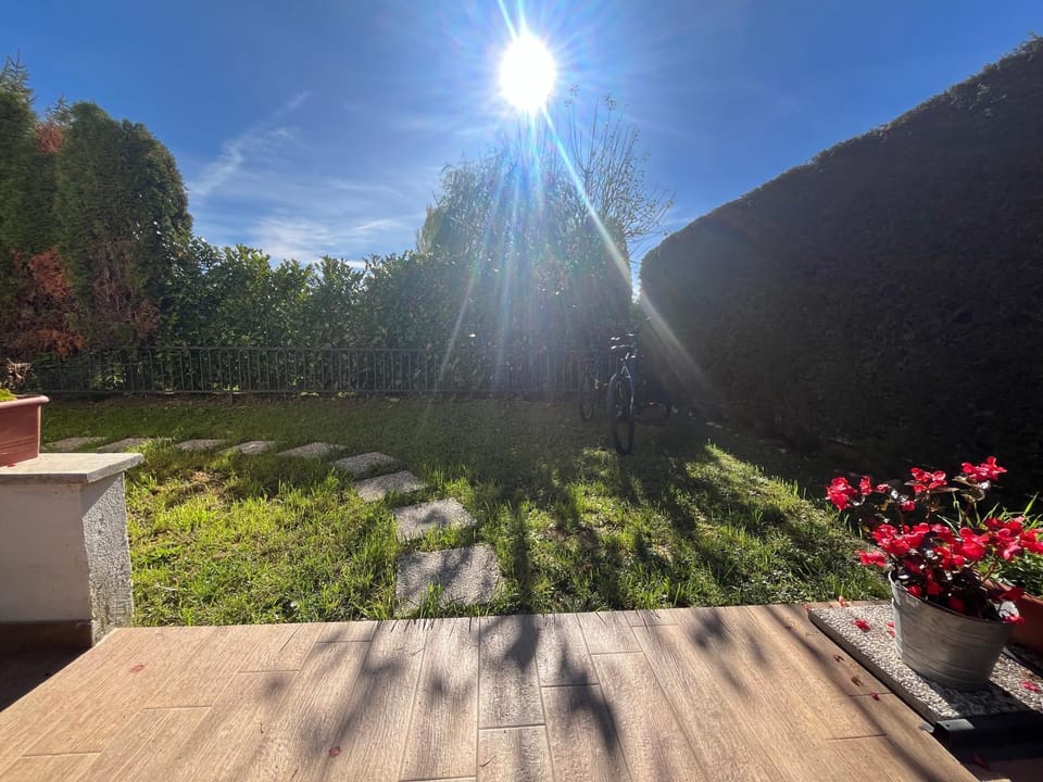 Spring, Day, Garden