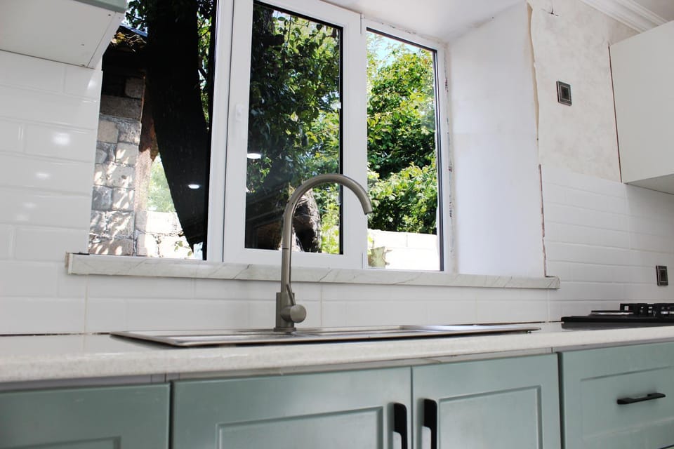 Kitchen or kitchenette, dishwasher