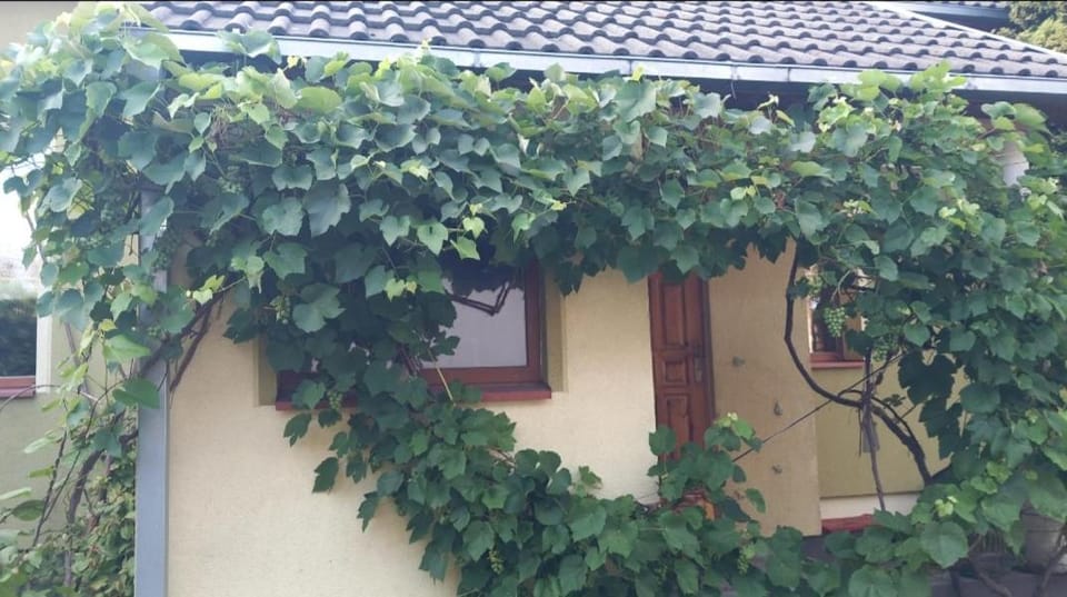 Karininko namas ir sodas miesto centre Apartment in Lithuania