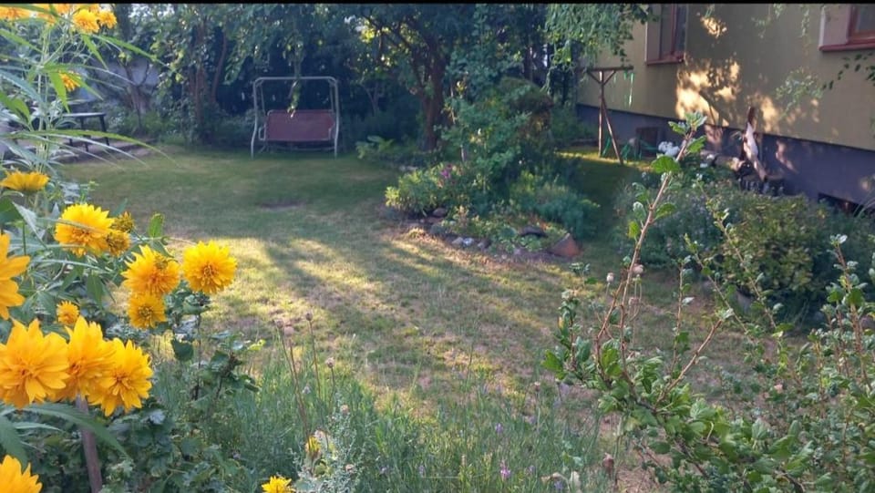 Karininko namas ir sodas miesto centre Apartment in Lithuania