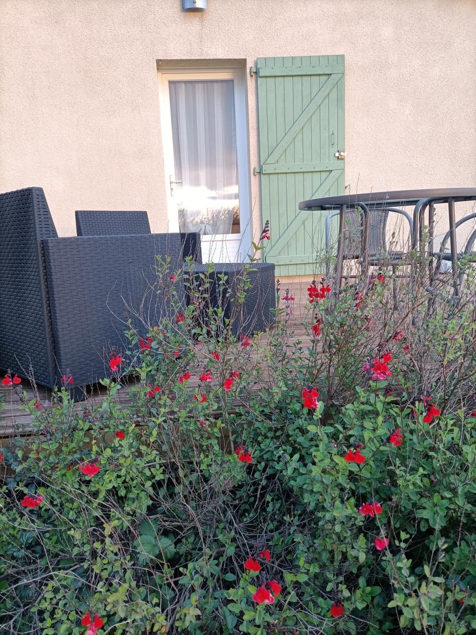 Balcony/Terrace, Garden view