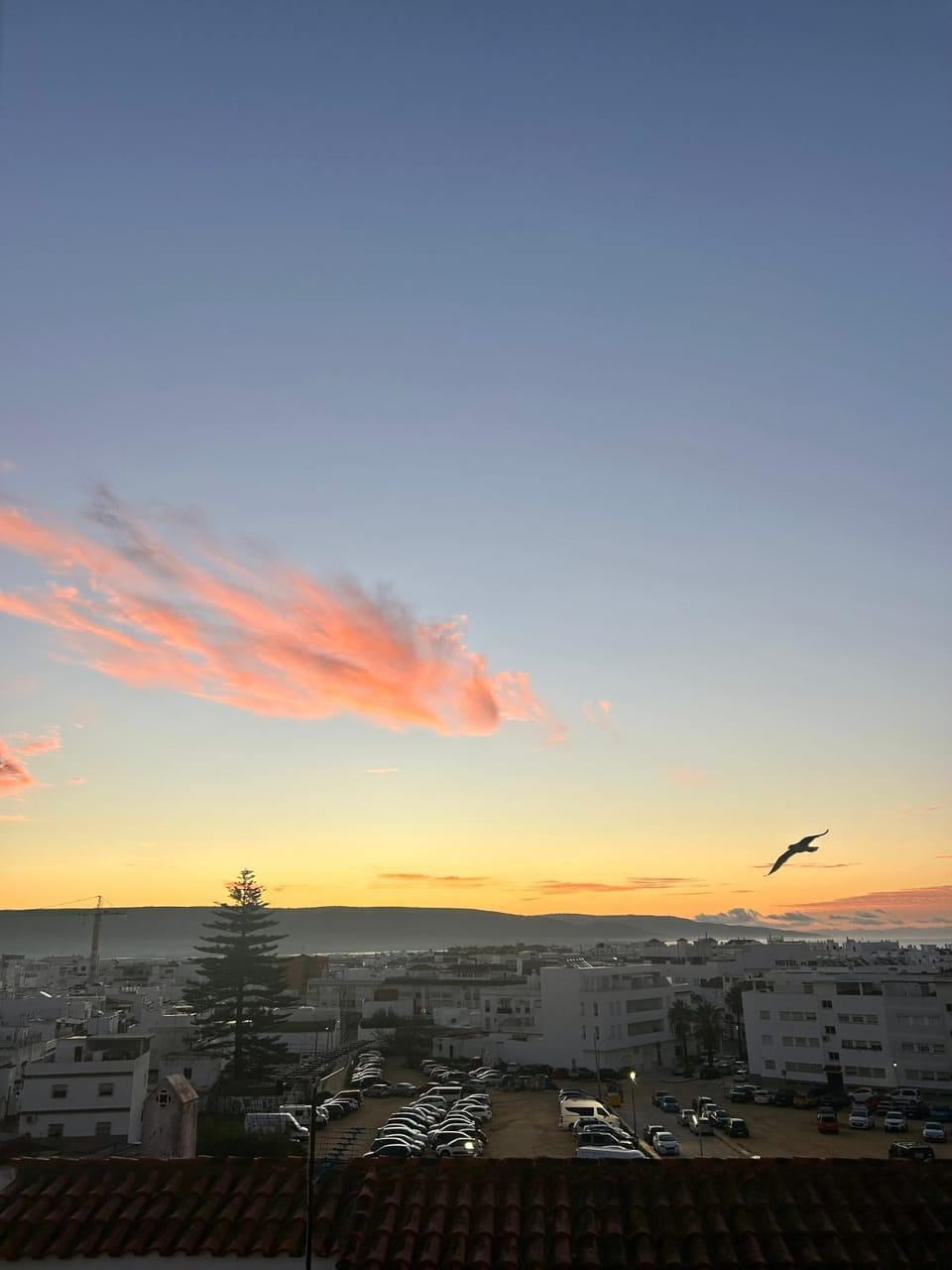 Natural landscape, City view, Sea view, Sunrise