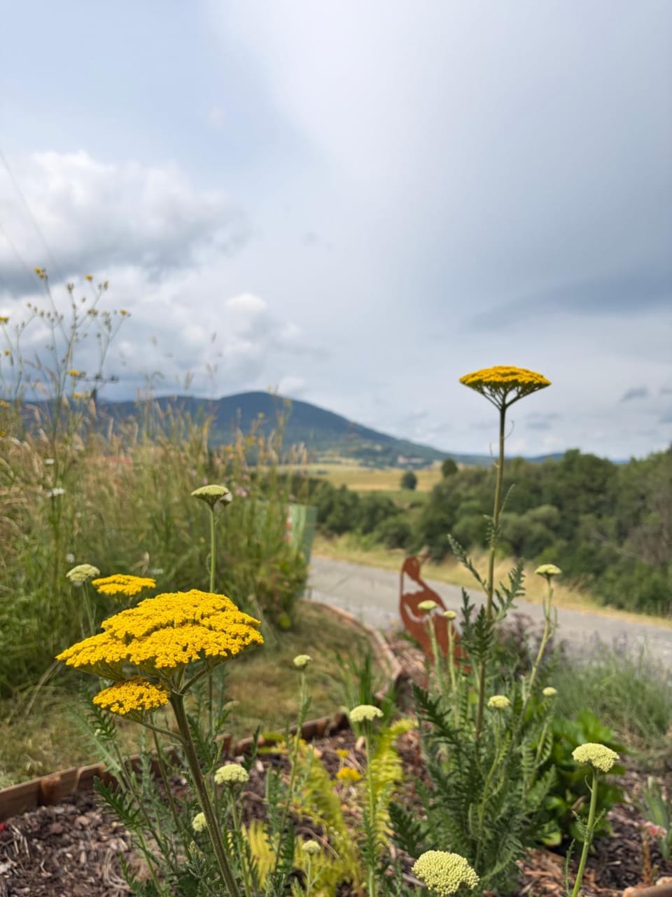Spring, Mountain view