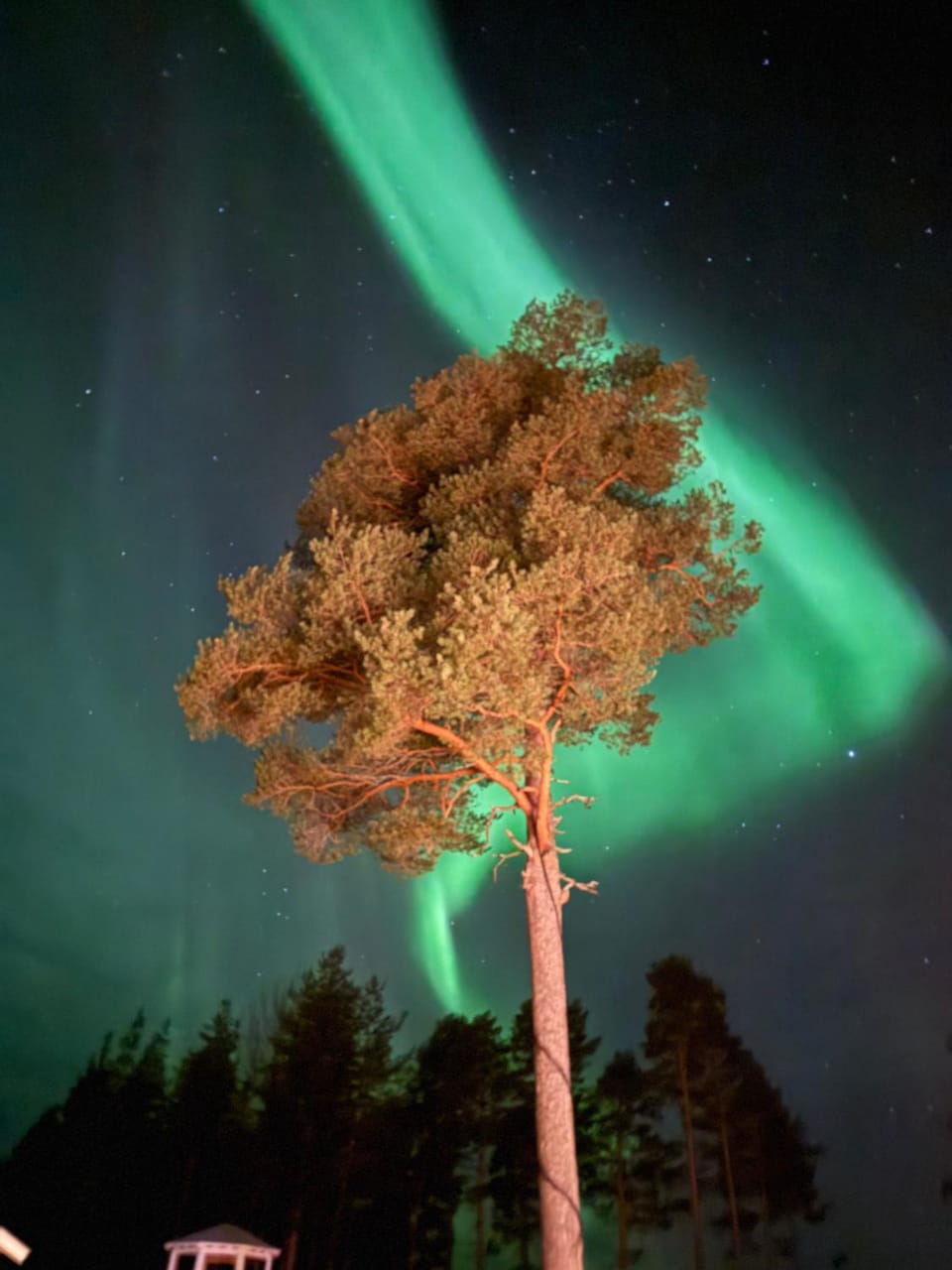 Backens Gästhem Hostel in Nordland, Norway