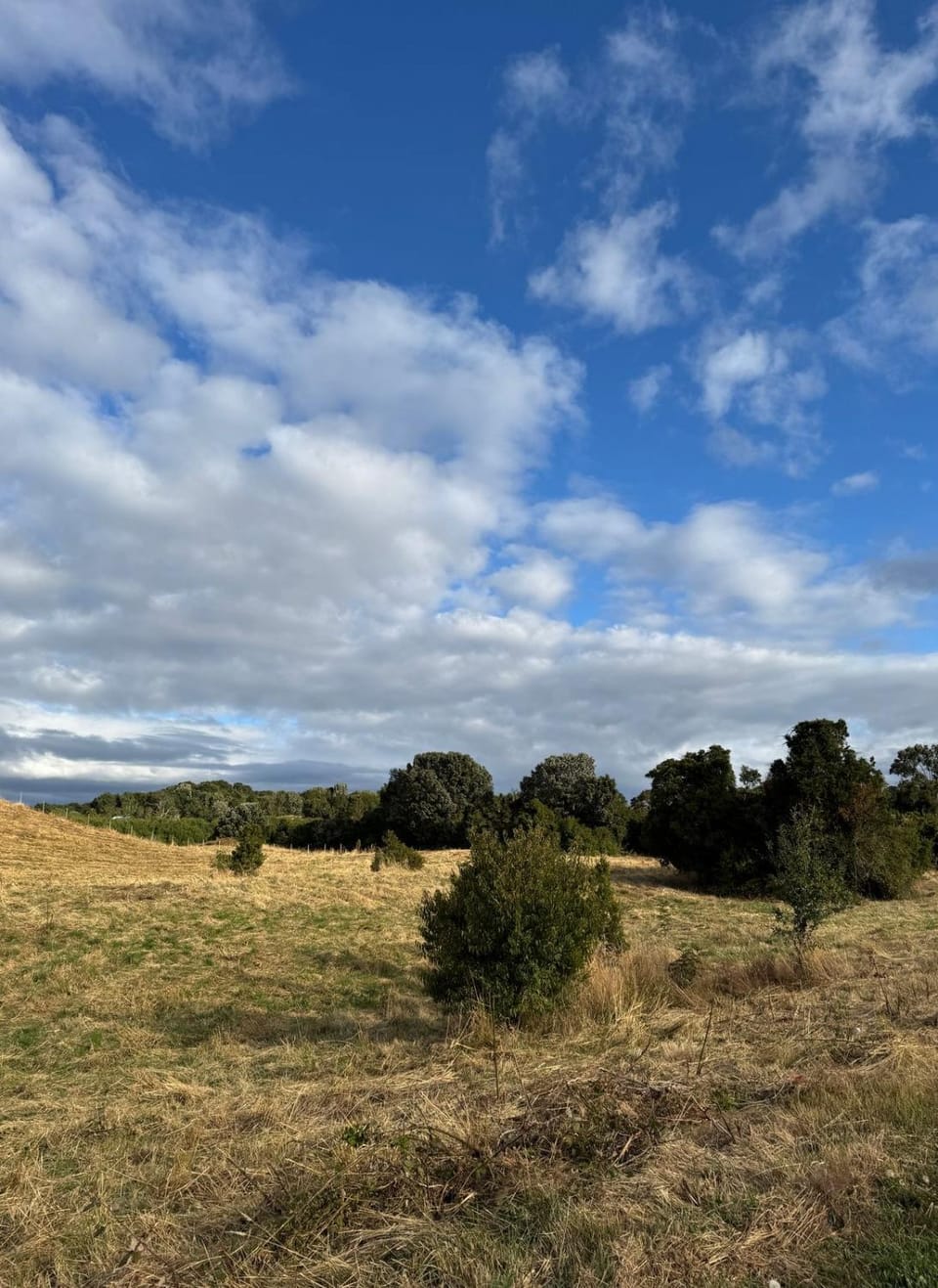 Garden view, Landmark view