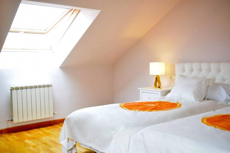 Disfruta León en este dúplex a 350m de la Catedral Apartment in León