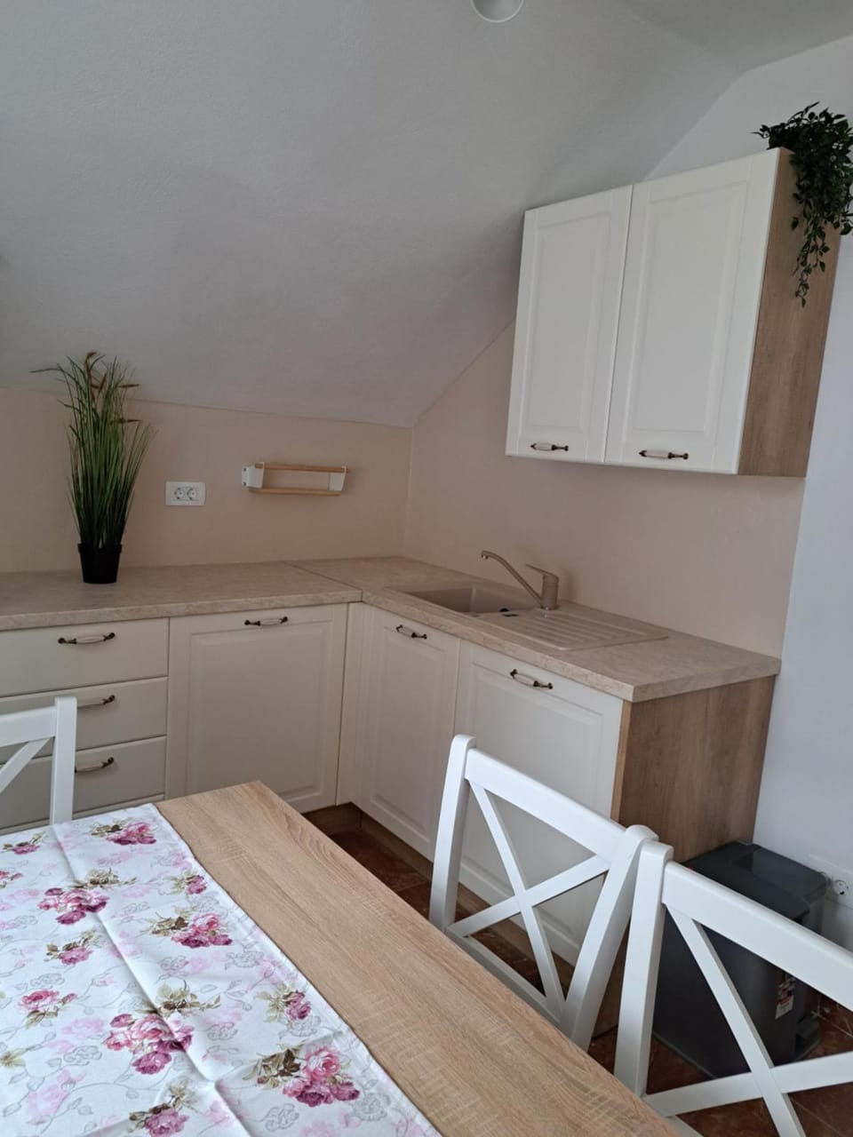MountainSpring Apartment in Friuli-Venezia Giulia