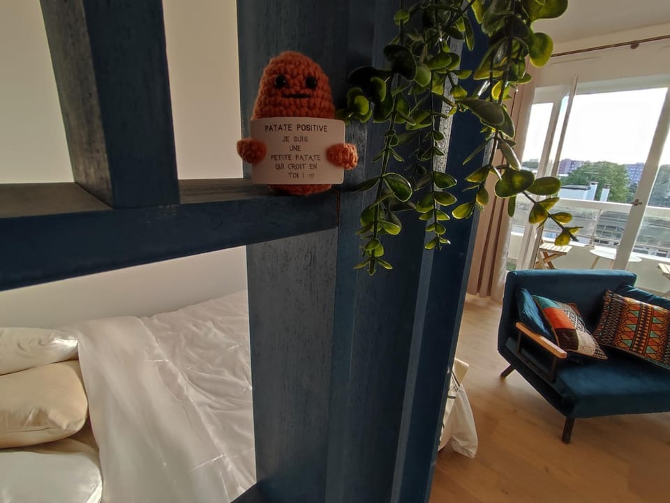 Spacious, Comfortable, Serene Apartment in Saint-Denis, France