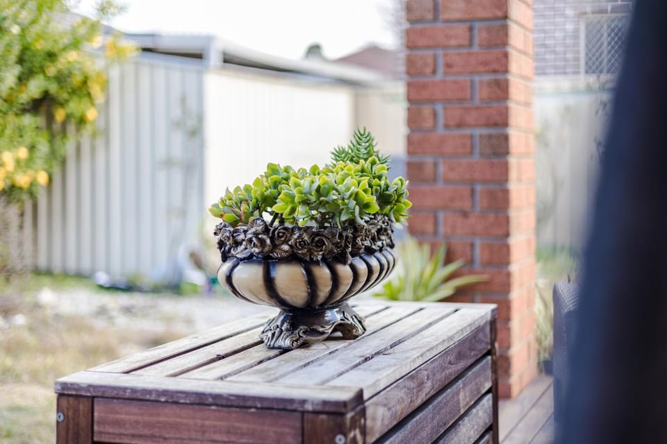 Garden, Garden view
