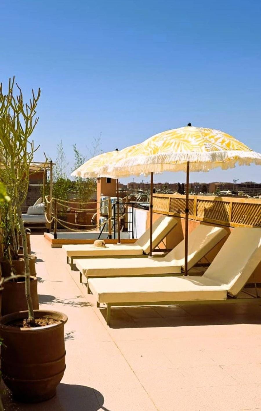 Patio, Solarium, Balcony/Terrace, City view, sunbed