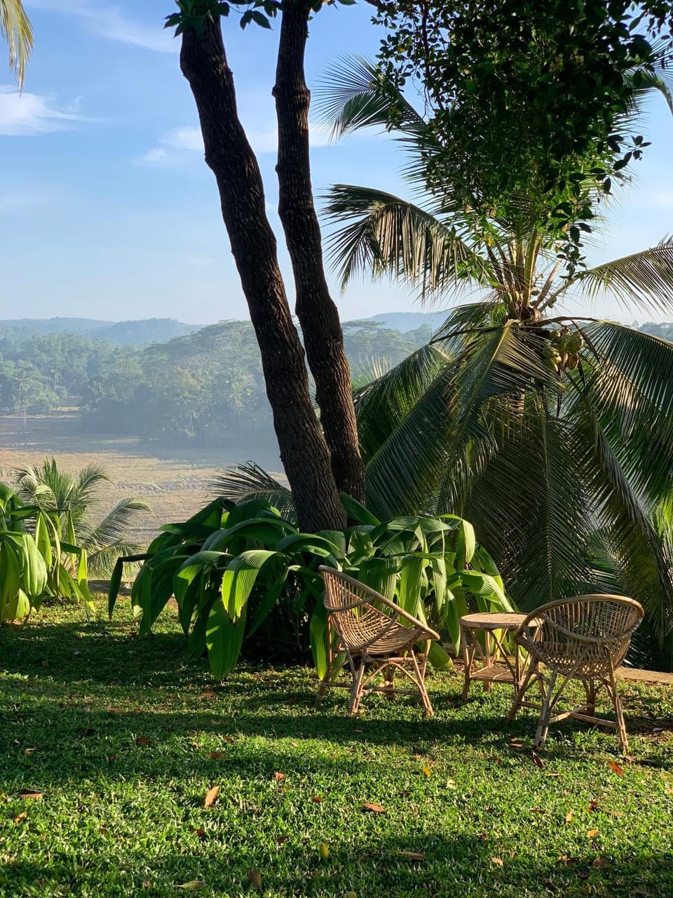 Natural landscape, Garden
