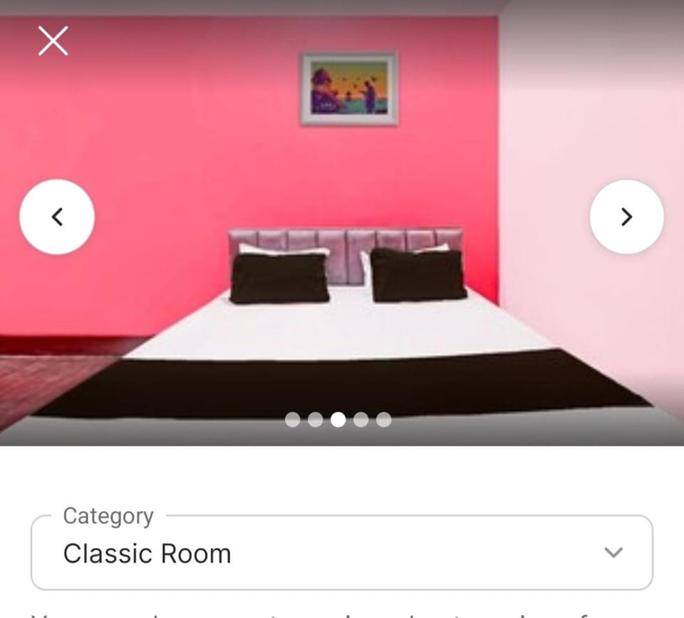 FLAMINGO Inn Bed and Breakfast in Nepal