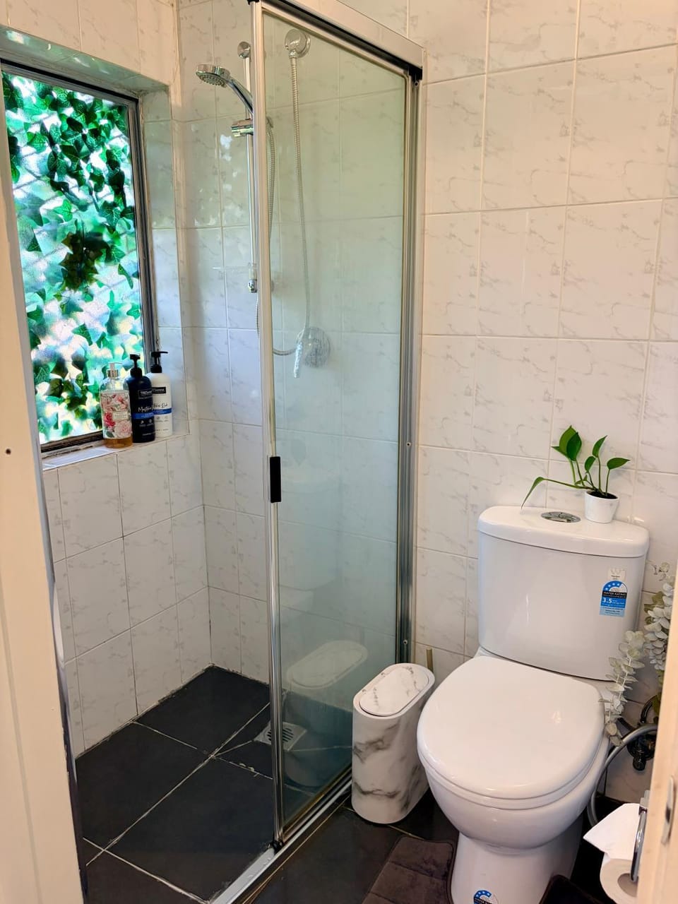 Shower, Toilet, Bathroom, bidet