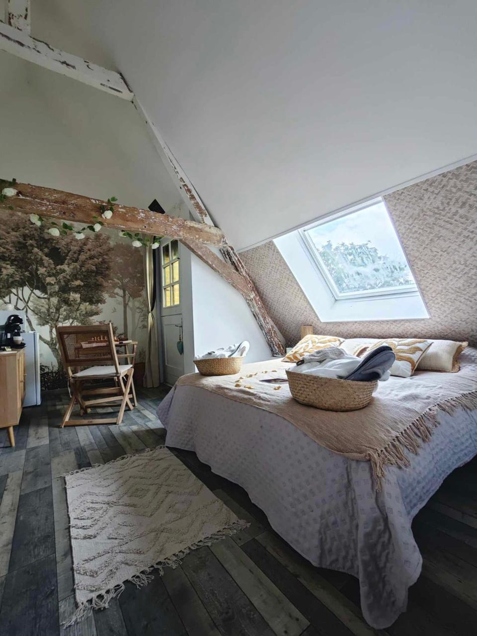 Bed, Photo of the whole room, Bedroom