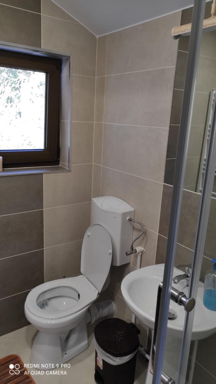 Pensiunea Emilia Bed and Breakfast in Romania