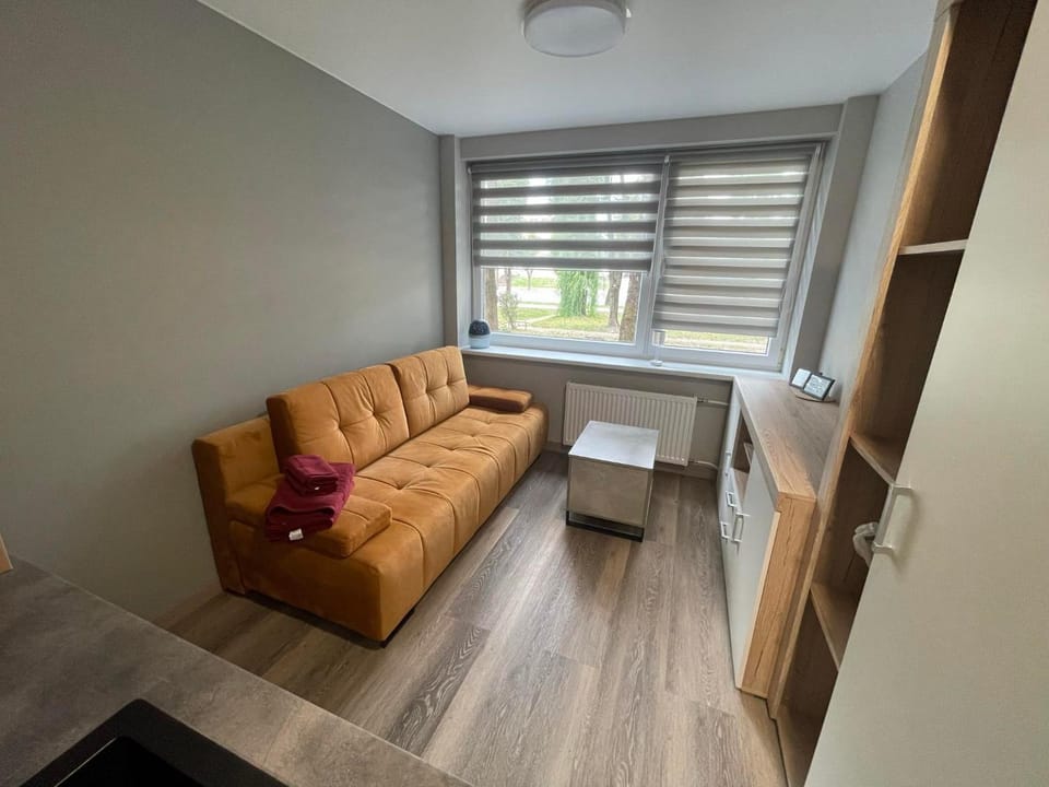 24h self check-in COZY VISIT Studio3 on the first floor Apartment in Lithuania