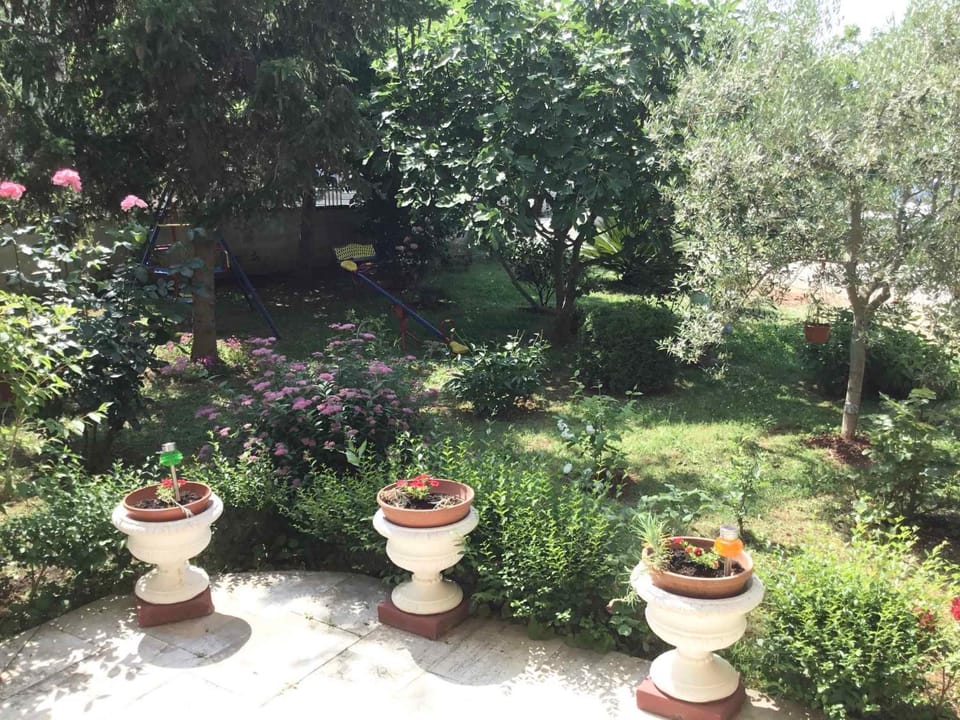 Summer, Garden