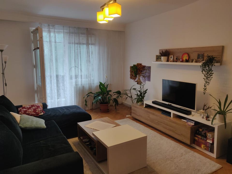Communal lounge/ TV room, TV and multimedia, Living room, Seating area, Evening entertainment