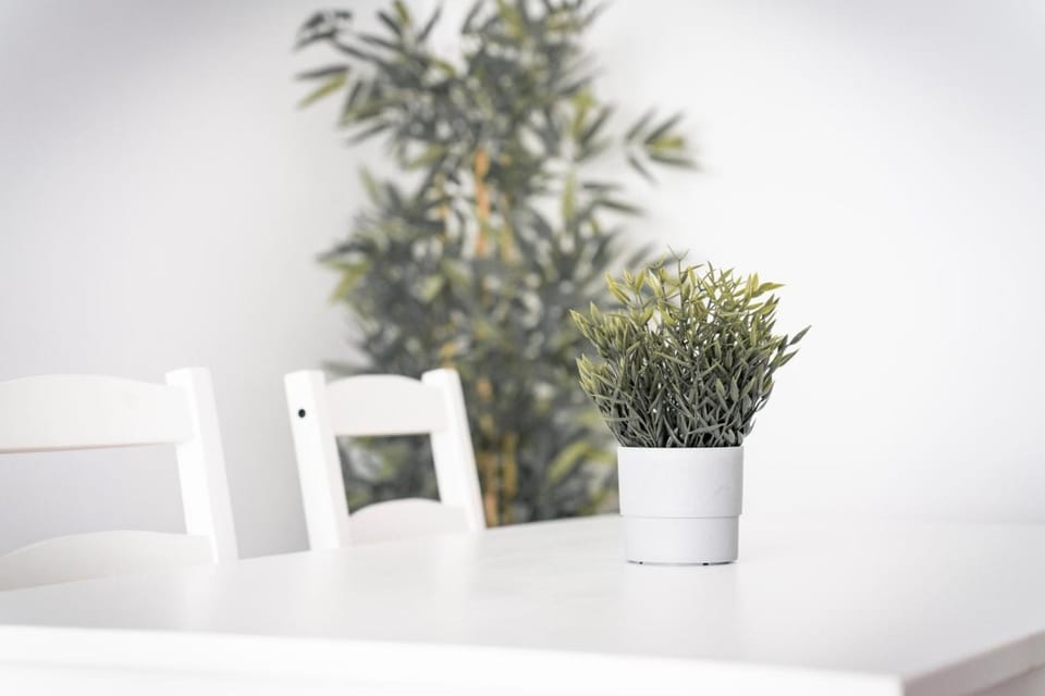 Apartamento Estrela Apartment in Ferrol