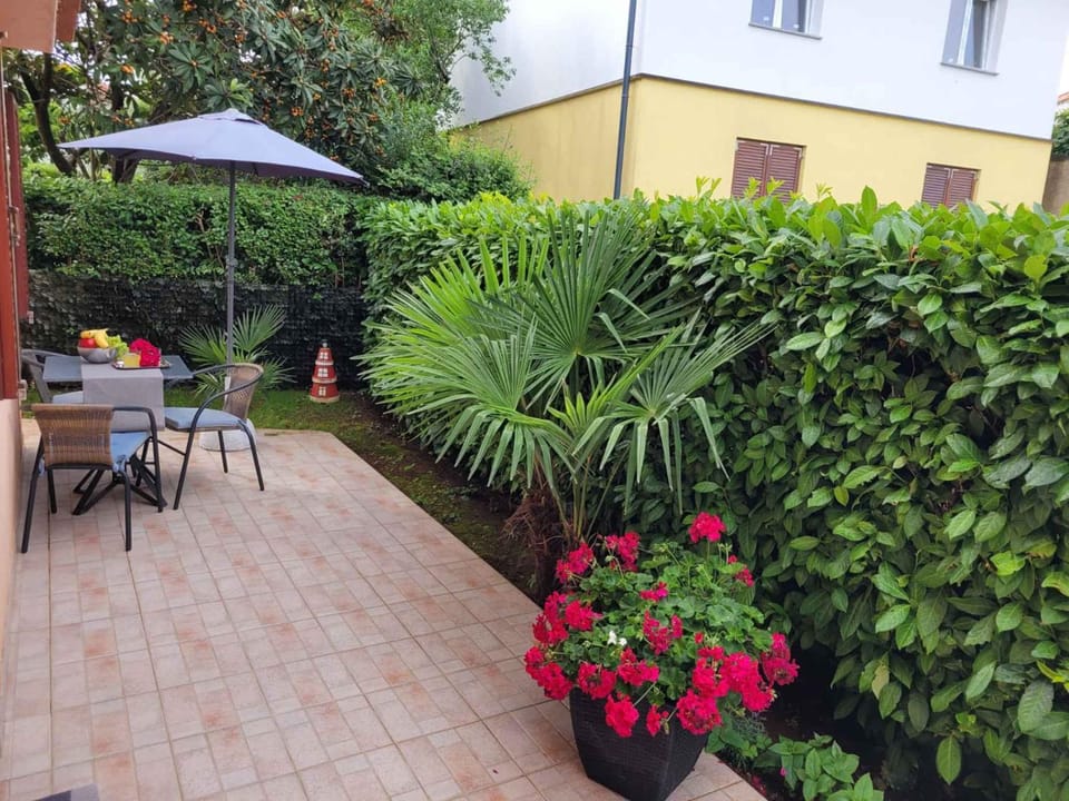 Summer, Balcony/Terrace