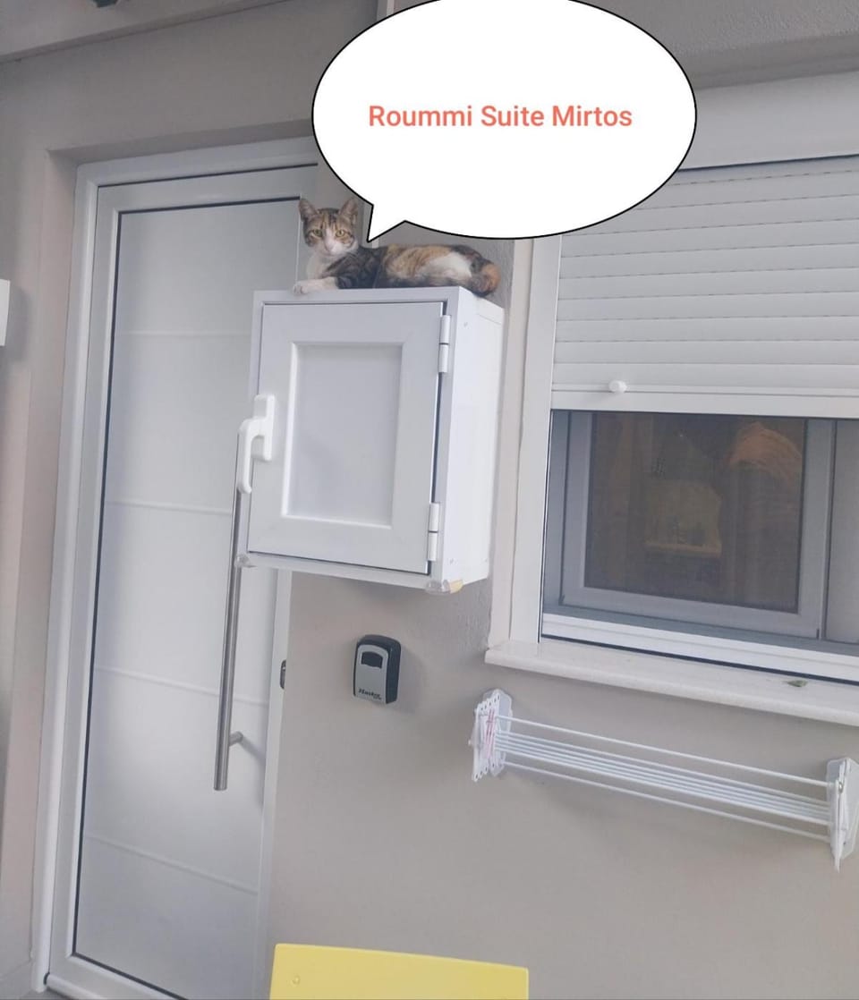 Roummi Suite Mirtos House in Myrtos