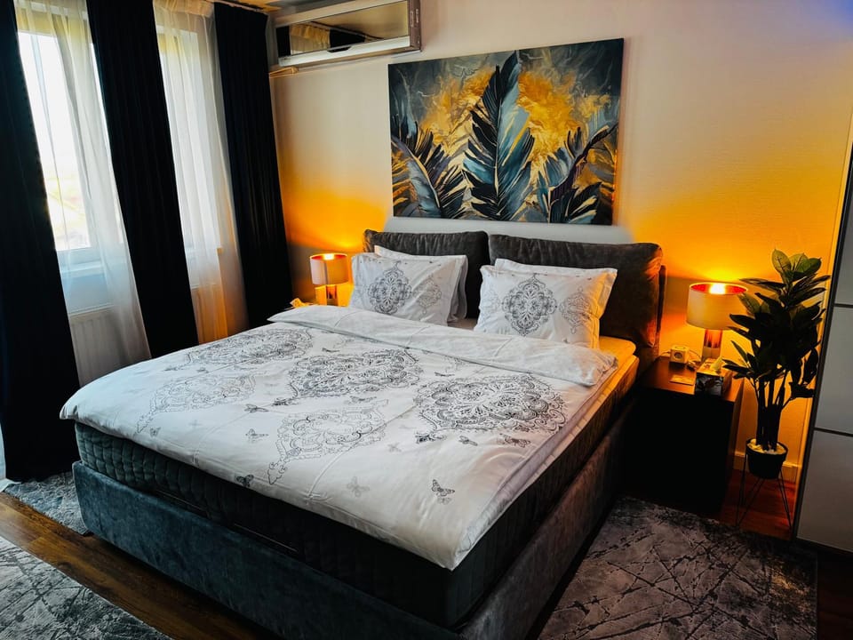Ramona's Cosy Apartment Apartment in Timisoara