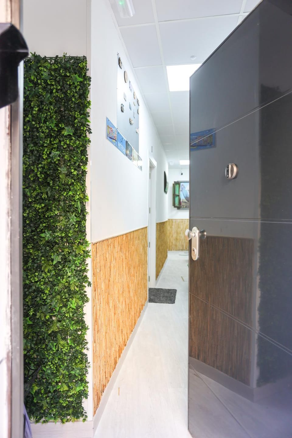 GREEN CROSS Apartment in Malaga