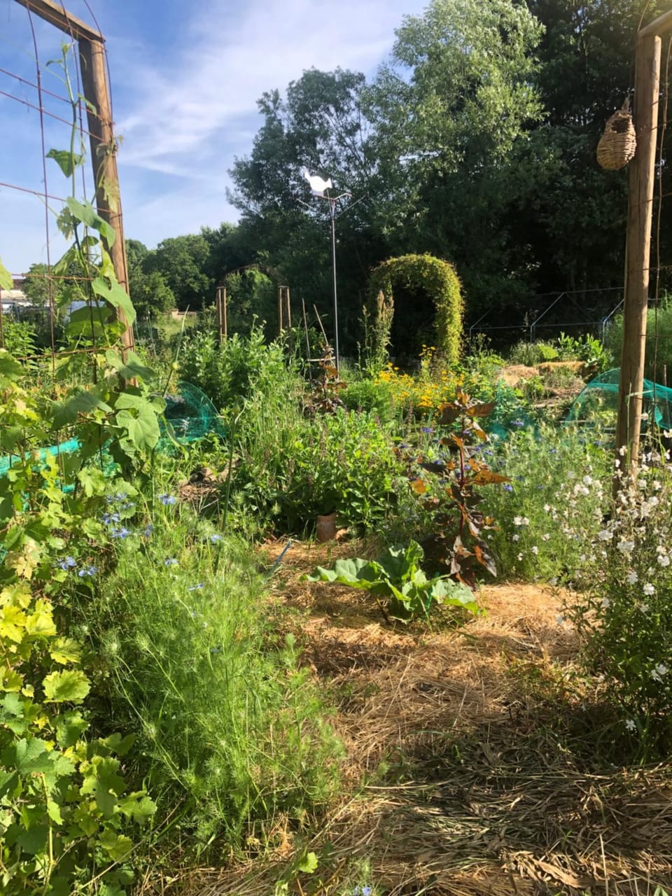 Garden, Garden view