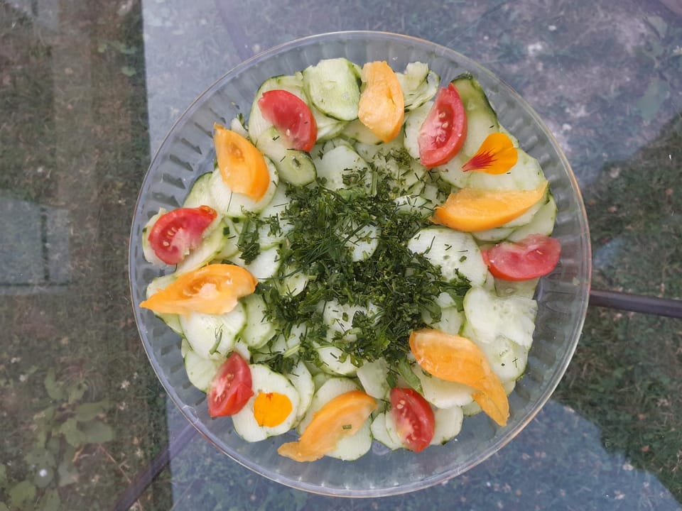 Restaurant/places to eat, Food and drinks, Food, Dinner
