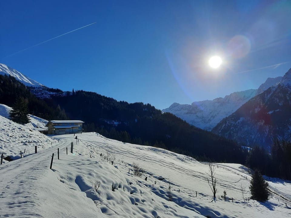 Mountain view