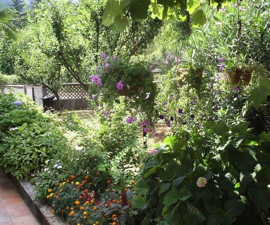 Summer, Garden