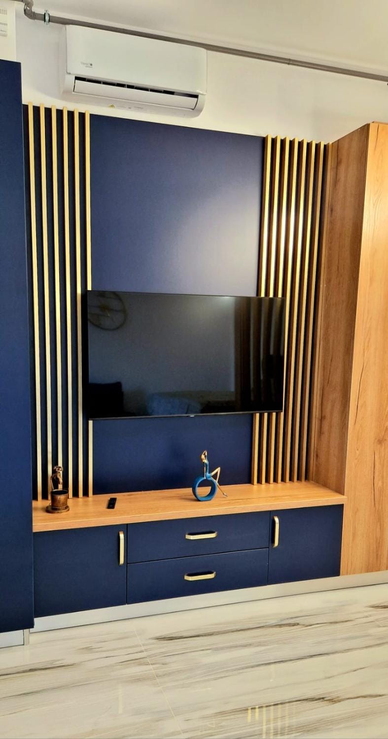 TV and multimedia