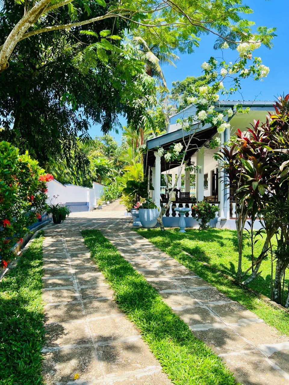 Property building, Day, Natural landscape, Garden view