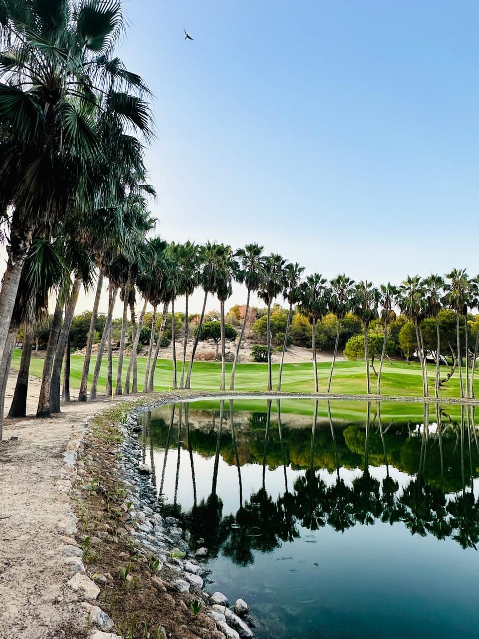 Golf residence Catalina - Las Ramblas House in Vega Baja del Segura