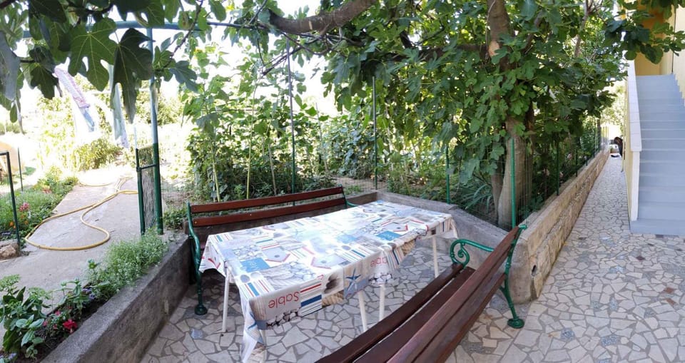Summer, Garden, Balcony/Terrace