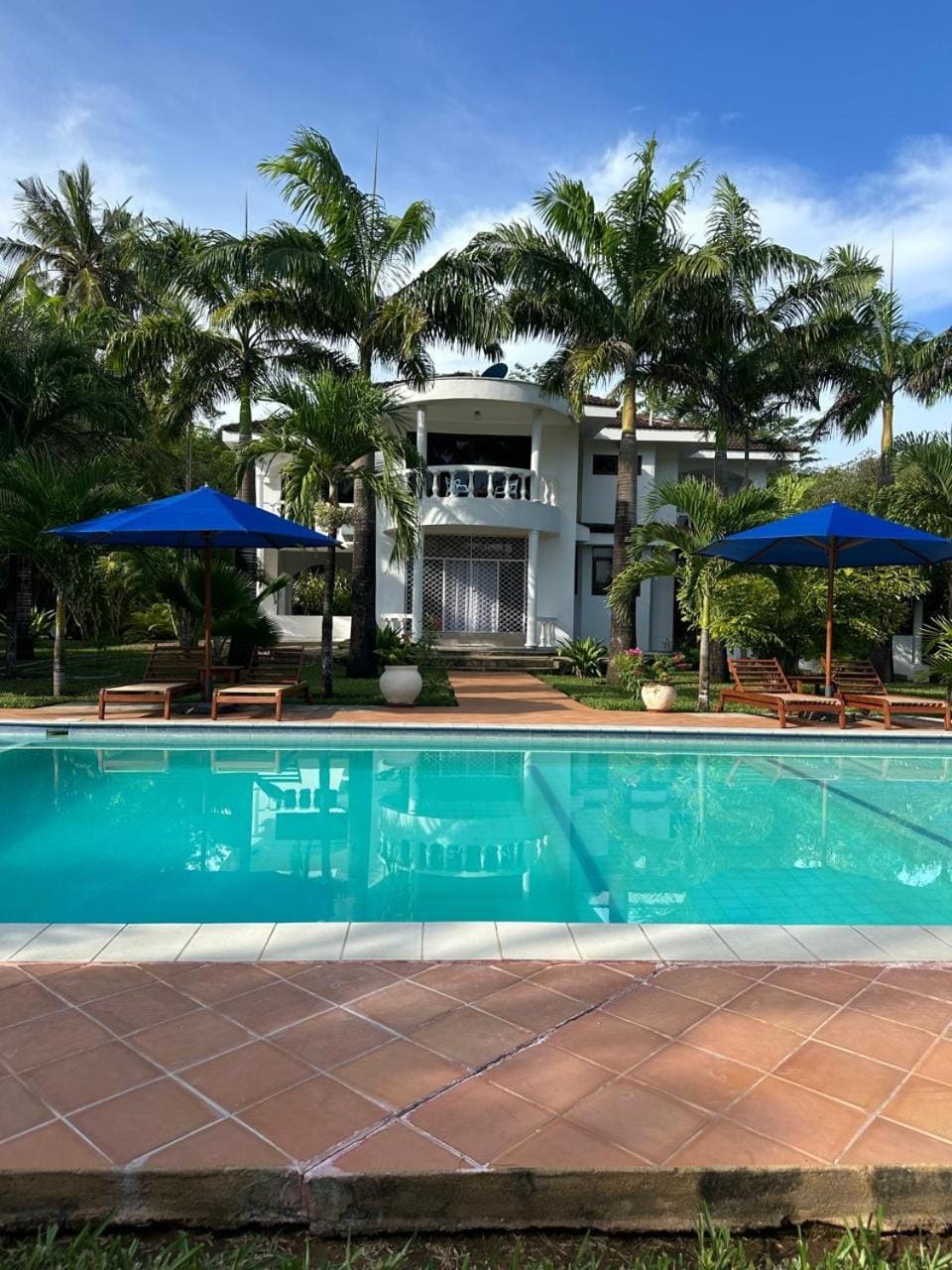 Property building, Day, Garden, Garden view, Pool view, Swimming pool, sunbed