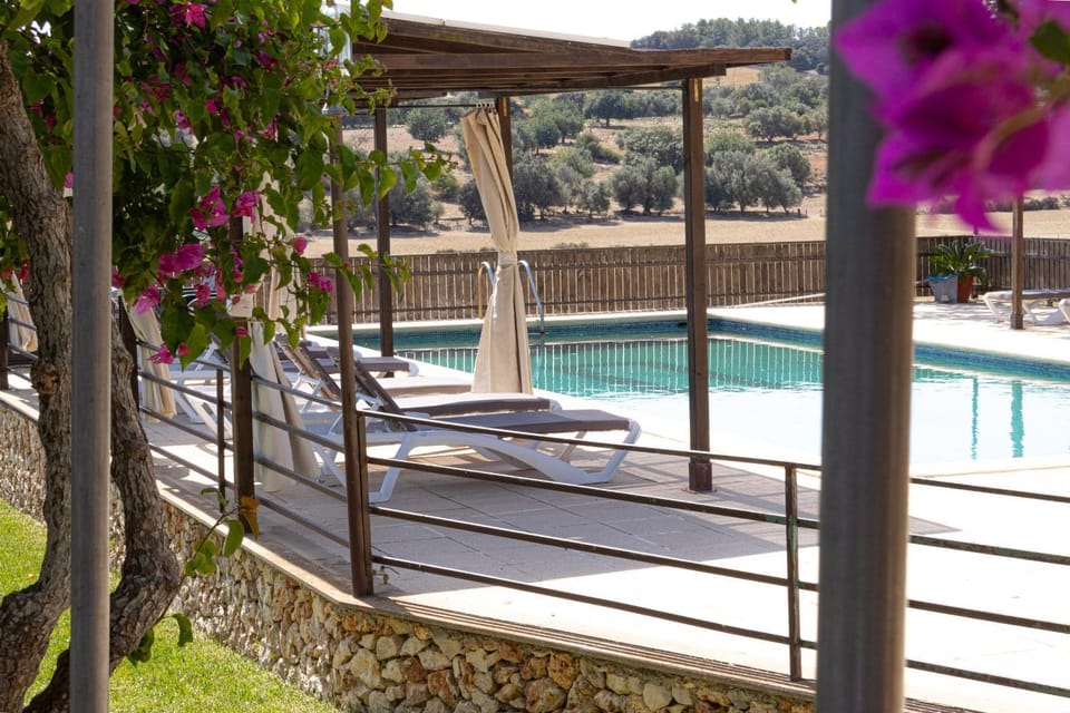 Patio, Garden, Garden view