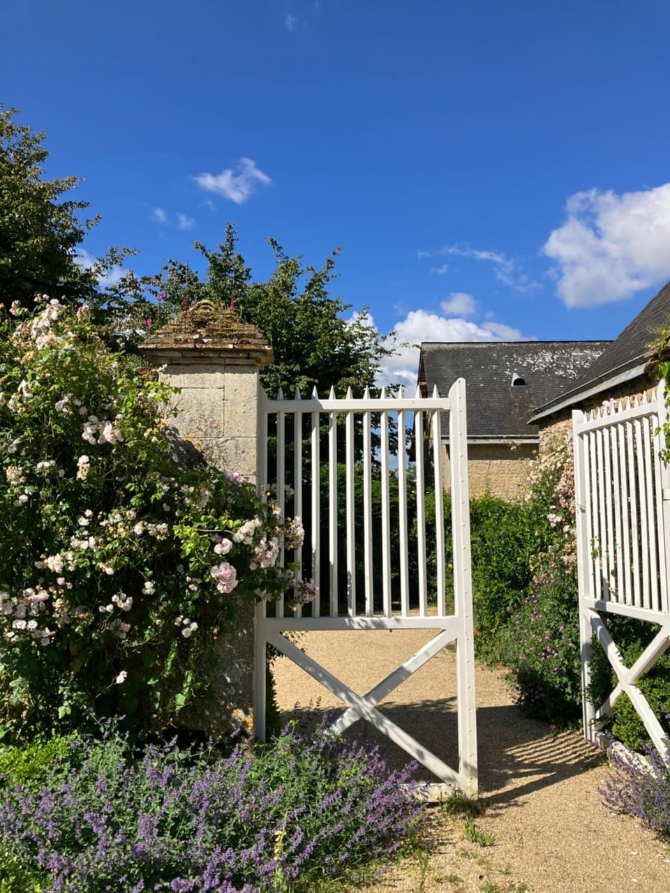 Facade/entrance, Garden