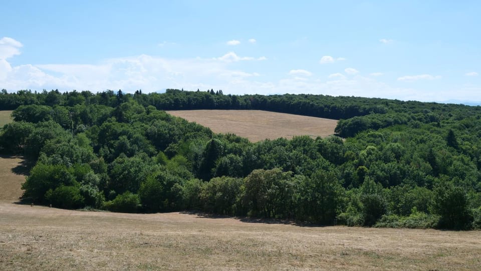 Natural landscape